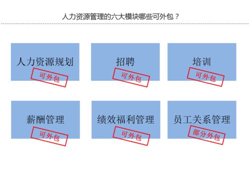 人力資源管理外包與咨詢服務(wù)的深度解析