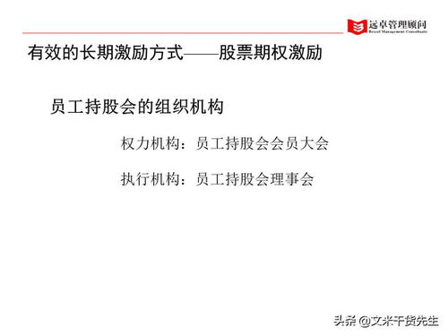 人力資源管理全面提升 系統(tǒng)化咨詢服務(wù)的客戶案例精析